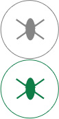 逐梦国际pg高效抗菌