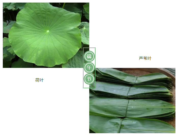逐梦国际pg医纺