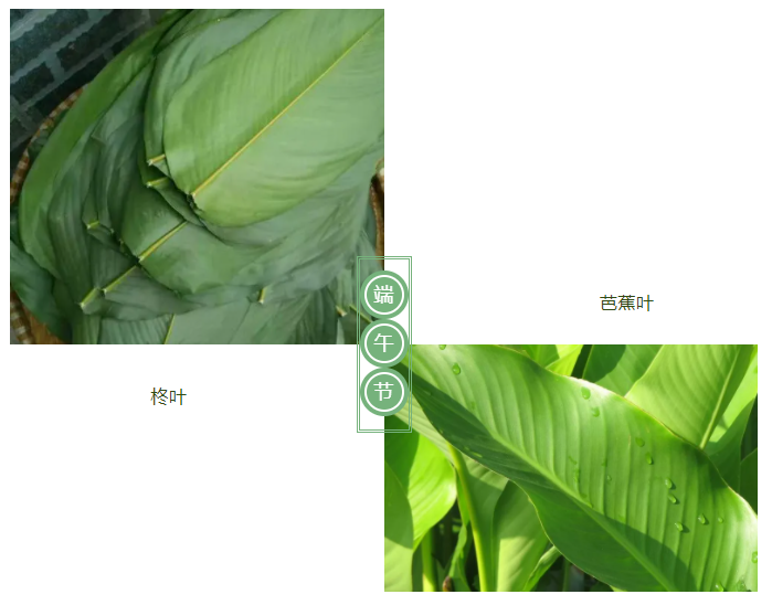 逐梦国际pg医纺