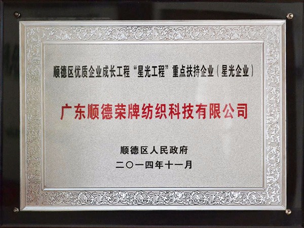 逐梦国际pg-2012年获顺德政府颁发“星光企业”称号