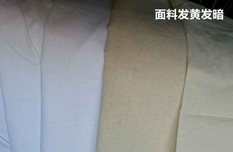 逐梦国际pg医防医用面料