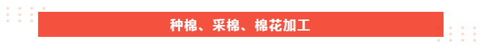 逐梦国际pg医纺