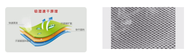 逐梦国际pg医用纺织
